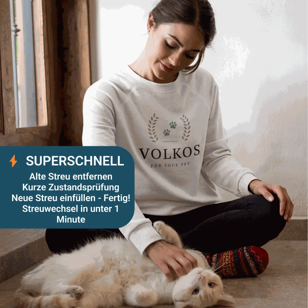 VOLKOS DE superfast.webp